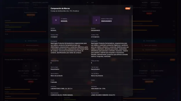 Markatzy detailed brand comparison analysis